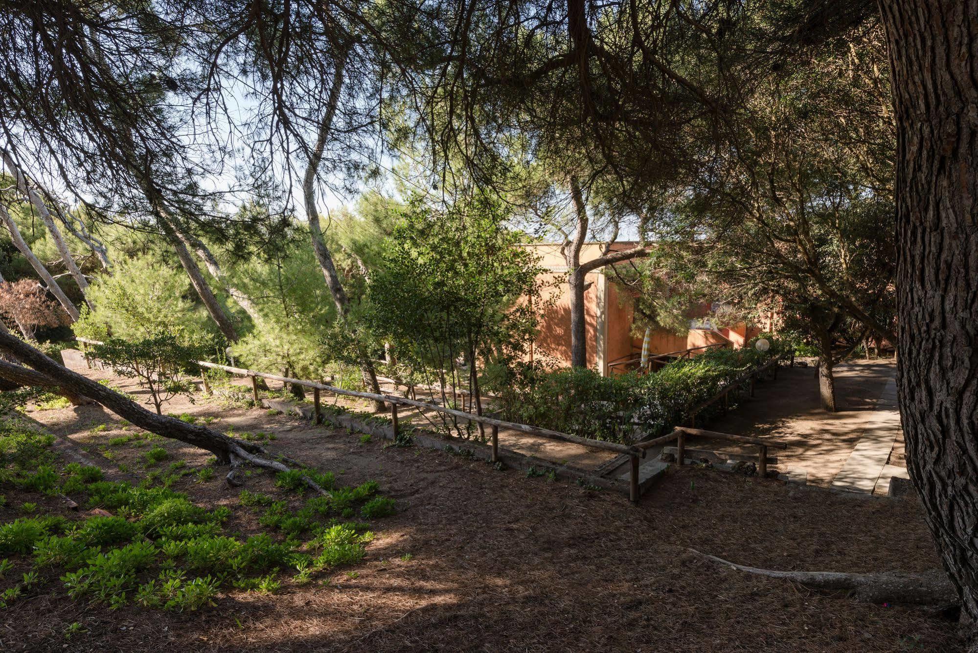 Villa Emilia Marina di Castagneto Carducci Eksteriør bilde